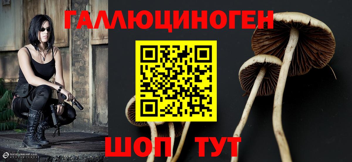 Галлюциногенные грибы мицелий Усть-Джегута